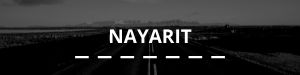 licencia conducir Nayarit